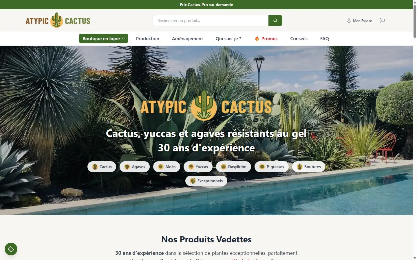 Boutique Atypic Cactus après la refonte — cactus, yuccas et agaves résistants au gel